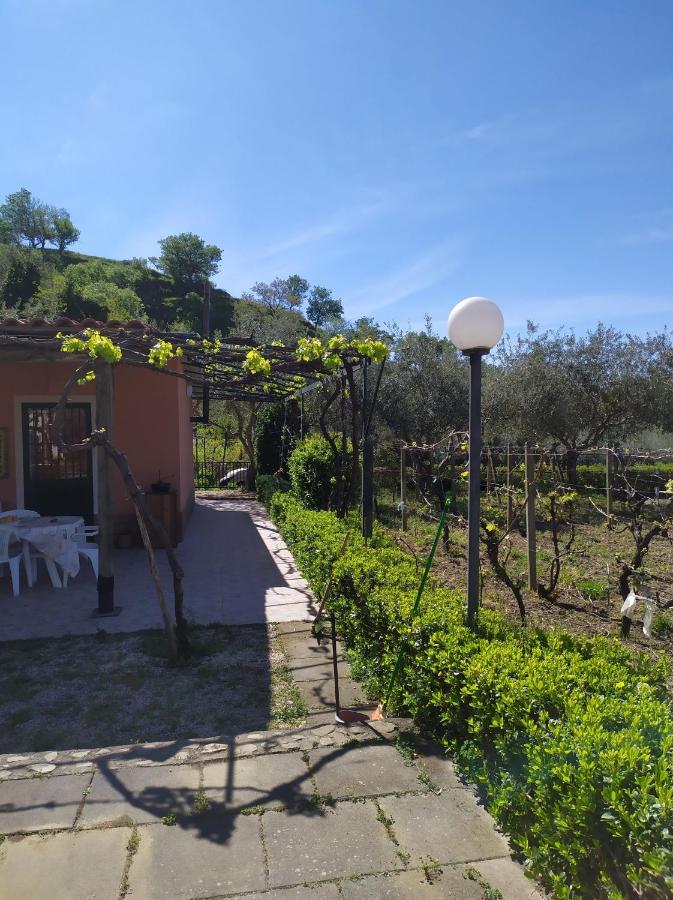 Gaggi Il Vigneto "Cottage" מראה חיצוני תמונה